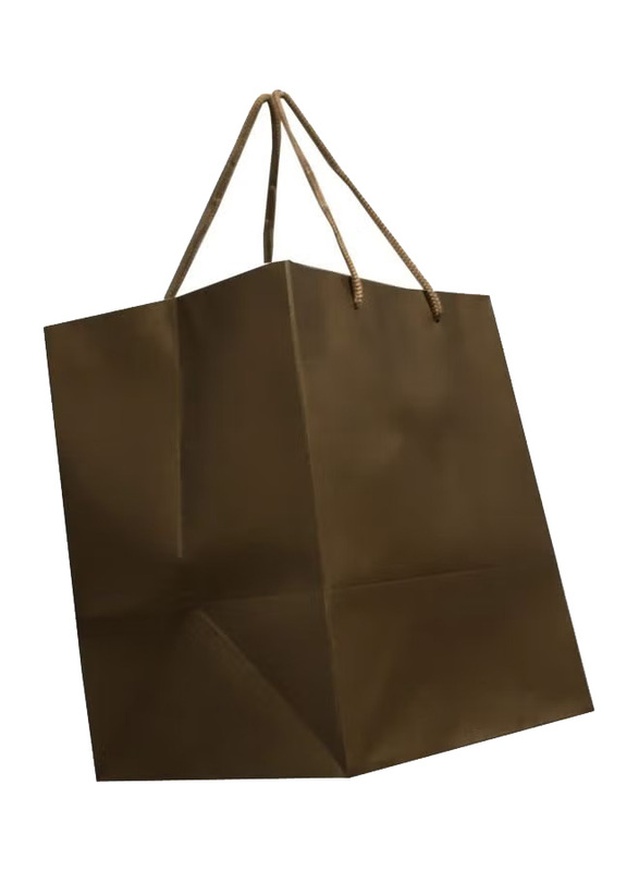 12-Piece Paper Bag With Handles, Brown