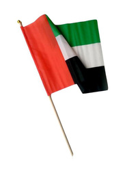 UAE National Flag With Stick, Multicolour