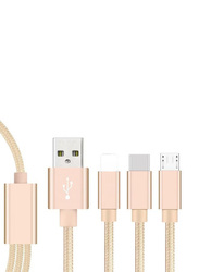 1.5-Meters 3-in-1 Multiple Types Charging Cable, Multiple Types to USB Type A for Smartphones/Tablets, Gold
