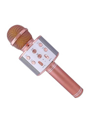 Wster Bluetooth Wireless Karaoke Microphone, Rose Gold/Silver
