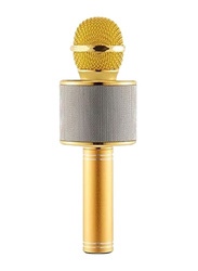 WS-858 Wireless Karaoke Microphone, Gold/Silver