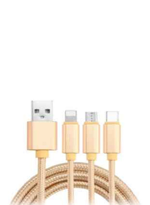 2-Feet Braided 3 In 1 USB Charging Cable, USB Male to Micro USB/USB Type-C/Lighting for Smartphones/Tablets, Gold