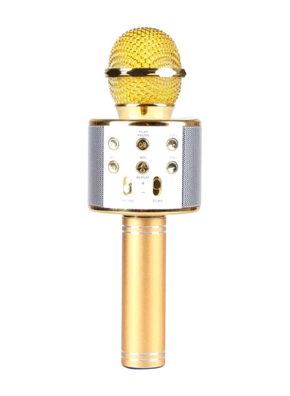 WS-858 Wireless Karaoke Microphone, 2724688140367, Gold