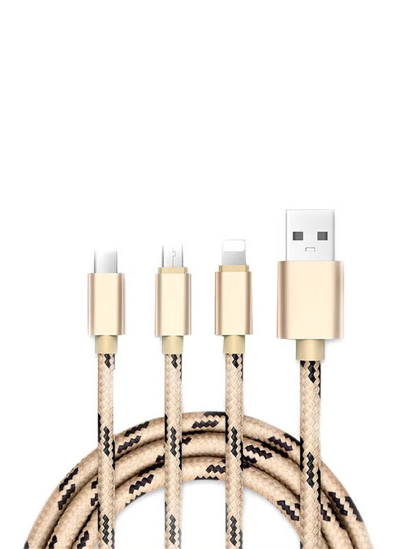 100cm 3-in-1 Multiple Types USB Charging Cable, Multiple Types to USB Type A for Smartphones/Tablets, Gold