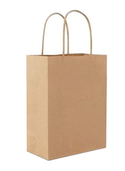 3-Piece Paper Bags With Twisted Handles, Brown