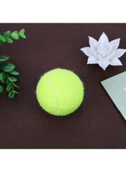 XiuWoo Tennis Ball, 2 inch, Green