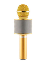 Wireless Bluetooth Karaoke Microphone, Gold