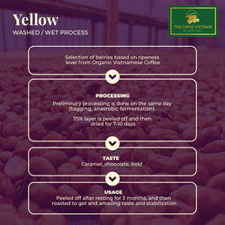 The Caphe Vietnam Premium Quality (Yellow process) Whole Beans Coffee 500g