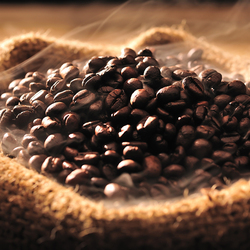 The Caphe Vietnam Fine Robusta Natural Process Vietnamese Whole Beans Coffee, 500g