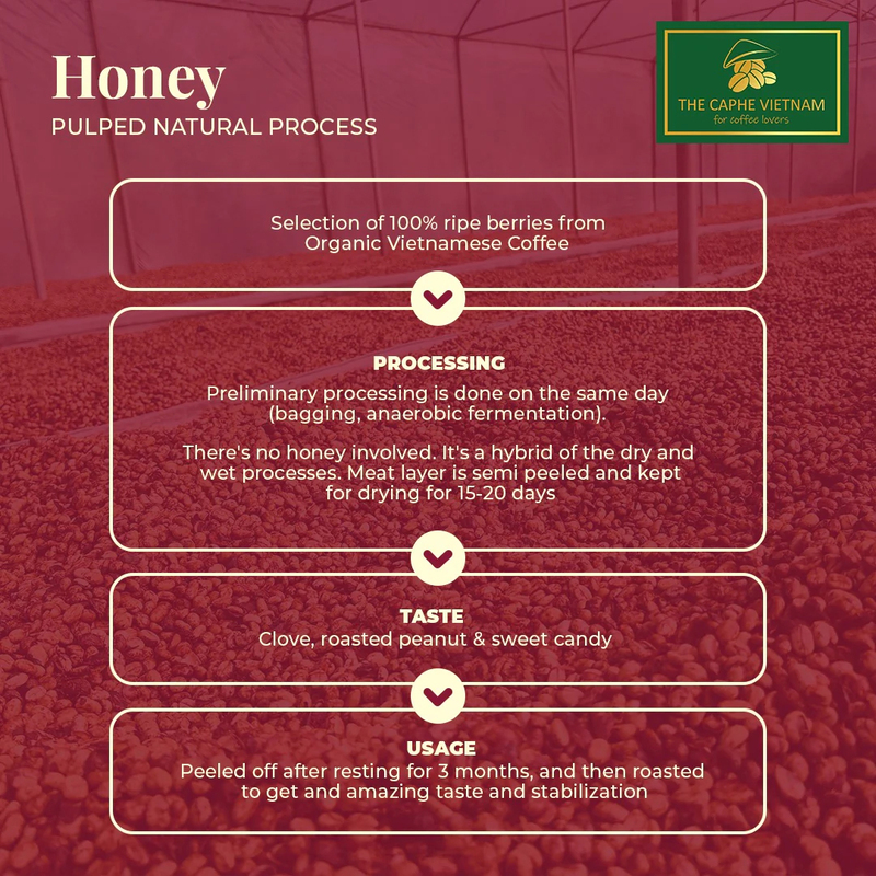The Caphe Vietnam Fine Robusta Honey Process Vietnamese Ground Coffee, 1 Kg