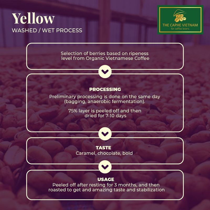 The Caphe Vietnam Premium Quality Yellow Process Vietnamese Ground Coffee, 500g