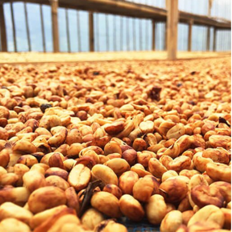 The Caphe Vietnam Premium Quality (Yellow process) Whole Beans Coffee 1kg