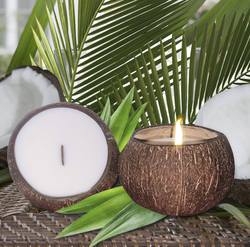 Coconut Shell Scented Soy Wax Candle, 2 Piece, Brown