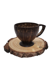 Coconut 2-Piece Shell Tea Cup Gift Box, Brown
