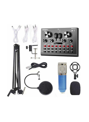 BM800 Microphone Set with Multi-functional Live Sound Card Audio Recording Equipment, I7765-5-T, Blue