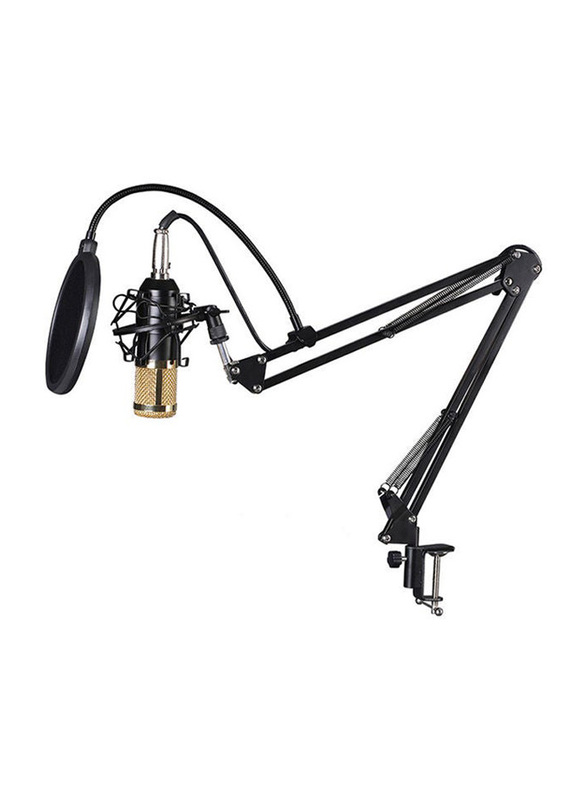 BM800 Multi-Functional Live Sound Card Microphone Audio Recording Equipment Set, Black