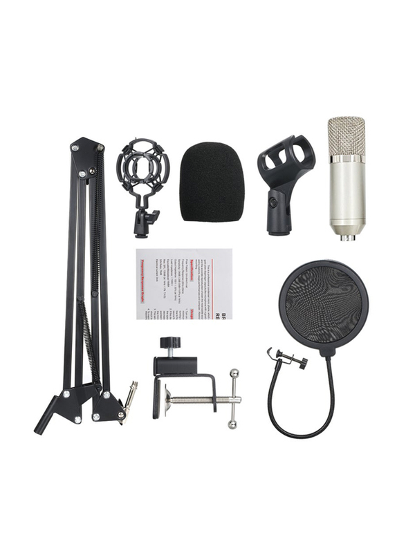 BM700 KTV Professional Singing Studio Recording Condenser Microphone Kit, LU-V5-170, Silver