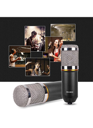 Condenser Microphone with Accessories Set, BM-800, Black/Silver