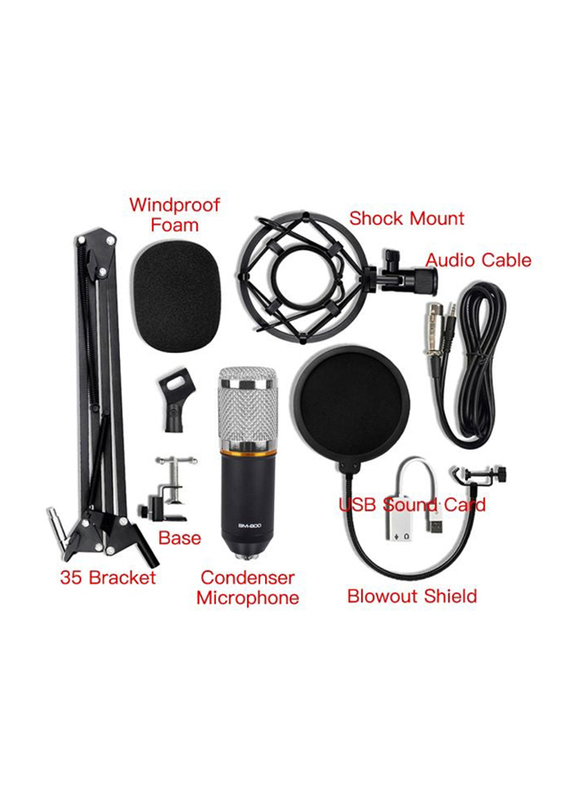 Condenser Microphone with Accessories Set, BM-800, Black/Silver