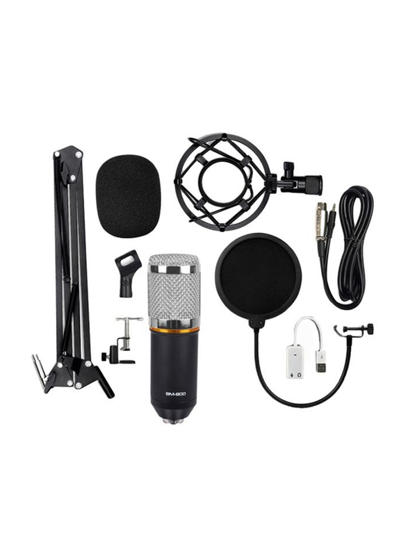 Condenser Microphone with Accessories Set, BM-800, Black/Silver