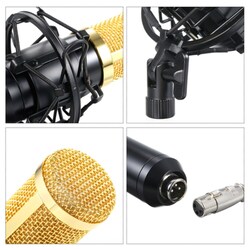 Condenser Microphone Lit Pro Audio Studio Recording & Brocasting Adjustable Mic Suspension Scissor Arm Pop Filter, BM800, Silver/Grey