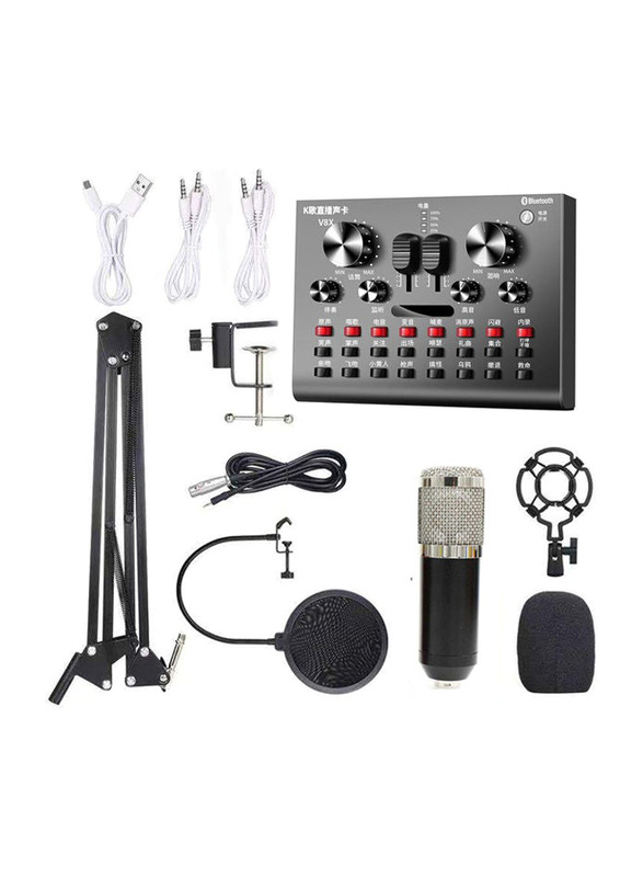 BM800 Multi-Functional Live Sound Card Microphone Audio Recording Equipment Set, Black