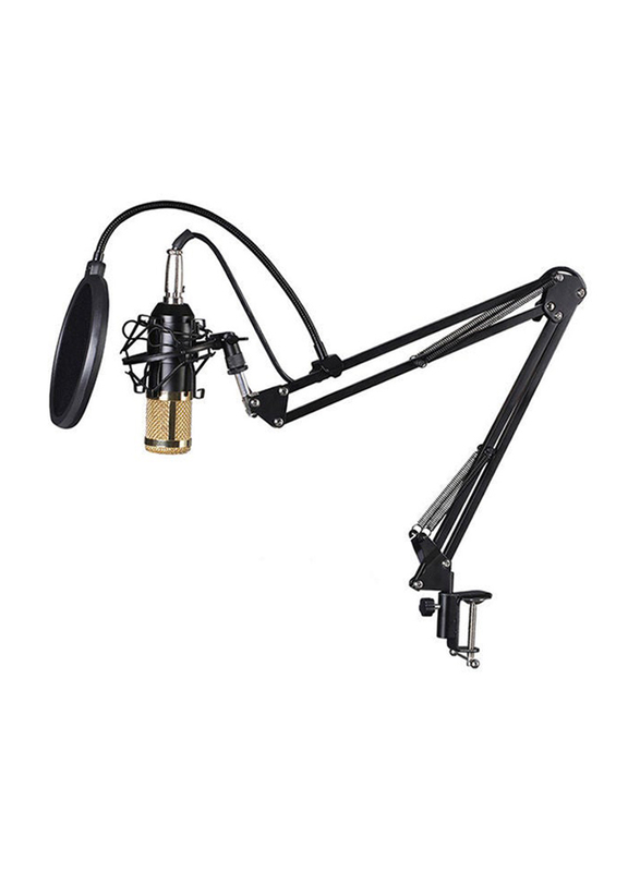 BM800 Microphone Set with Multi-functional Live Sound Card Audio Recording Equipment, I7765-7-T, Gold