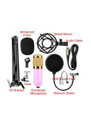 Condenser Microphone with Accessories Set, BM-800, Black/Pink/Gold