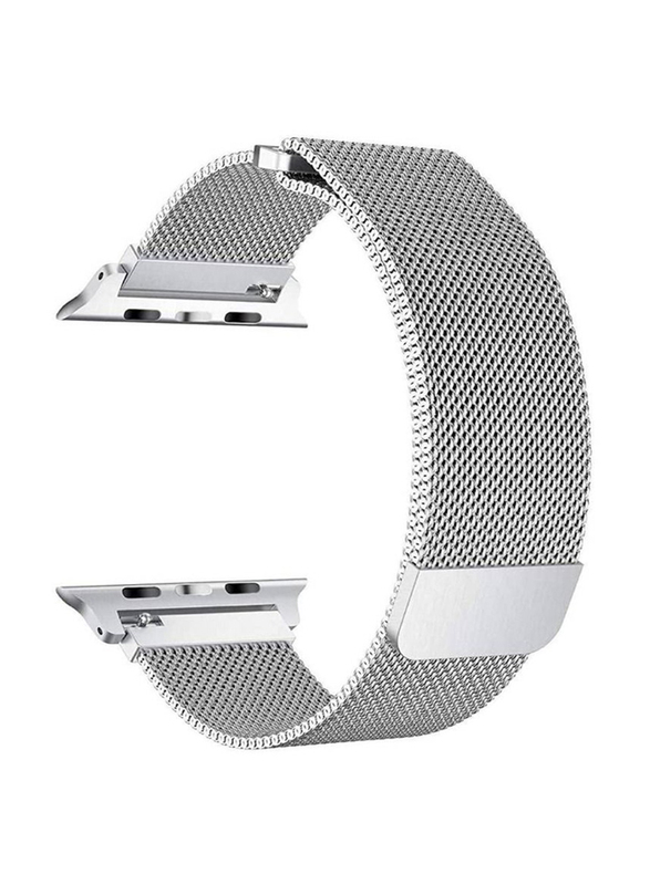 Replacement Mesh Loop Strap for Apple Watch 42/44mm, Silver