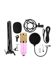 Condenser Microphone with Accessories Set, BM-800, Black/Pink/Gold