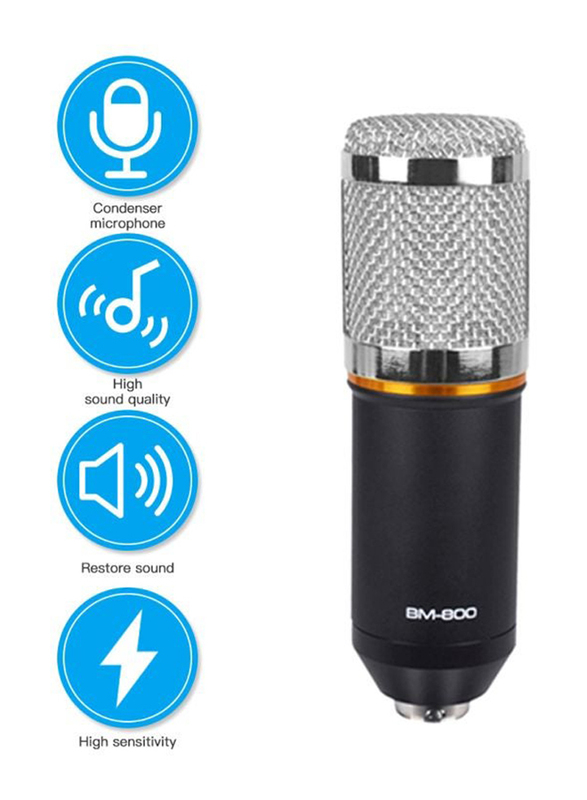 Condenser Microphone with Accessories Set, BM-800, Black/Silver