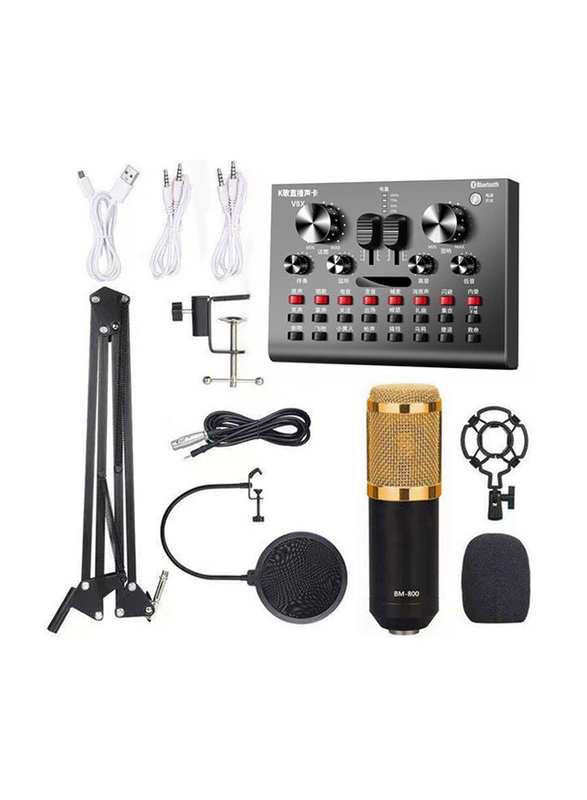 BM800 Microphone Set with Multi-functional Live Sound Card Audio Recording Equipment, I7765-7-T, Gold