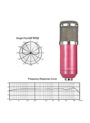 Kutis Professional Studio Recording Condenser Microphone Kit, V8015, Multicolour