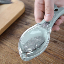 Vichivy Scraping Fishing Scale, Grey