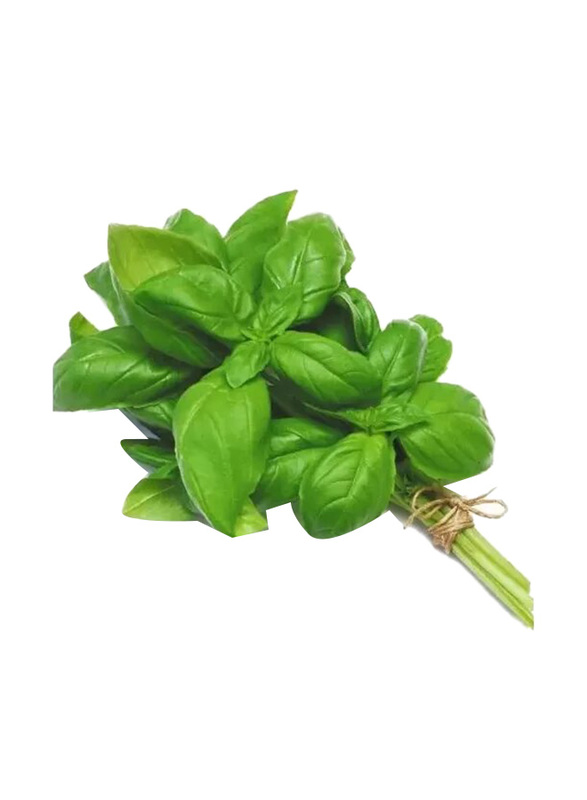 

Generic Basil Local, 500g