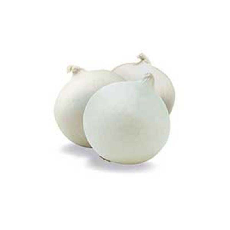 

Generic White Onion Spain 500g