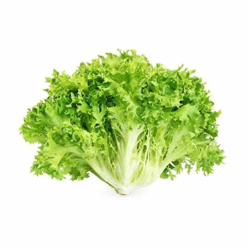 

Generic Lettuce Frisee Yellow Holland-Pack 400g