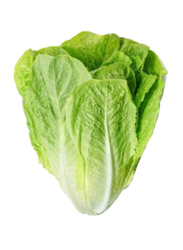 

Generic Lettuce Romaine, 500g