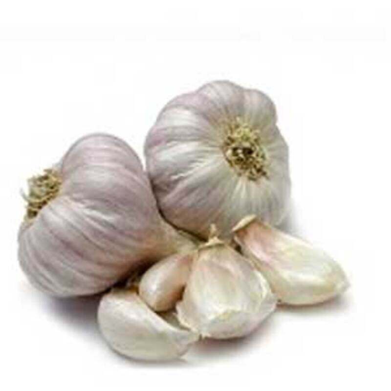 

Generic Garlic India 500g
