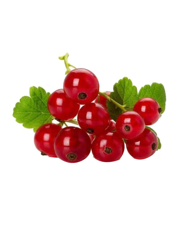 

Generic Red Currant Holland, 125g