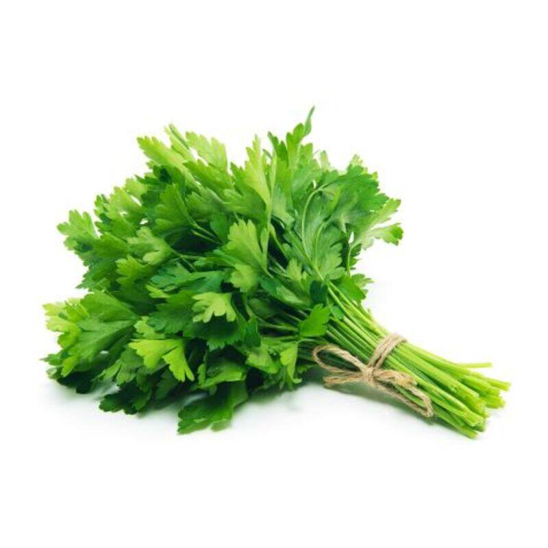 

Generic Parsley