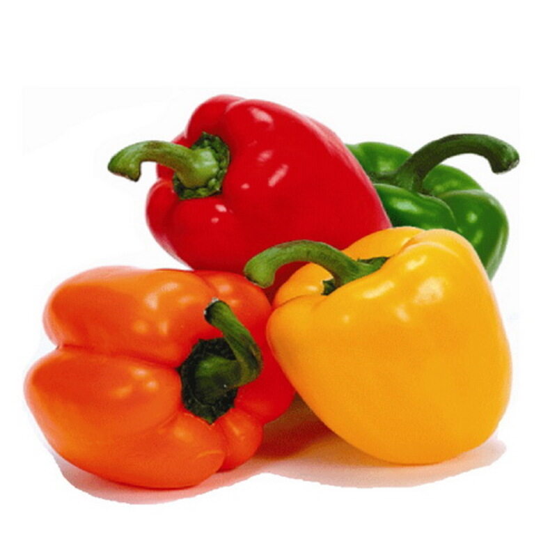 

Generic Capsicums Mix GCC 500g