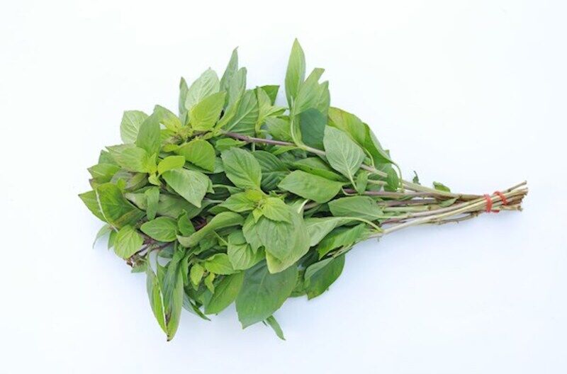 

Generic Basil Local