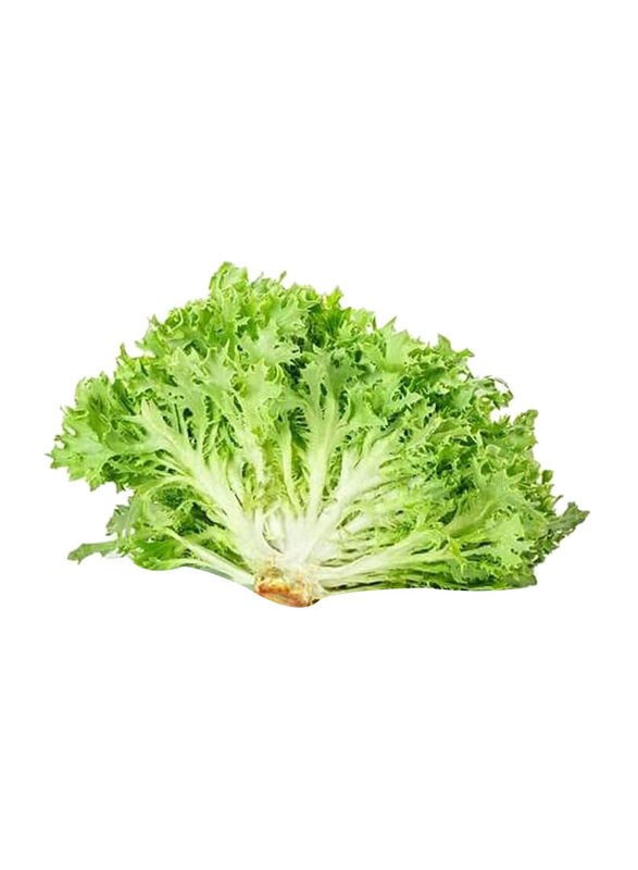 

Generic Lettuce Frisse Green Holland, 200g