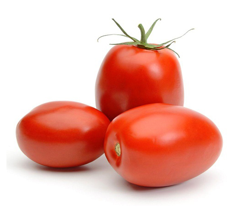 Tomato Plum Holland-Pack 500g