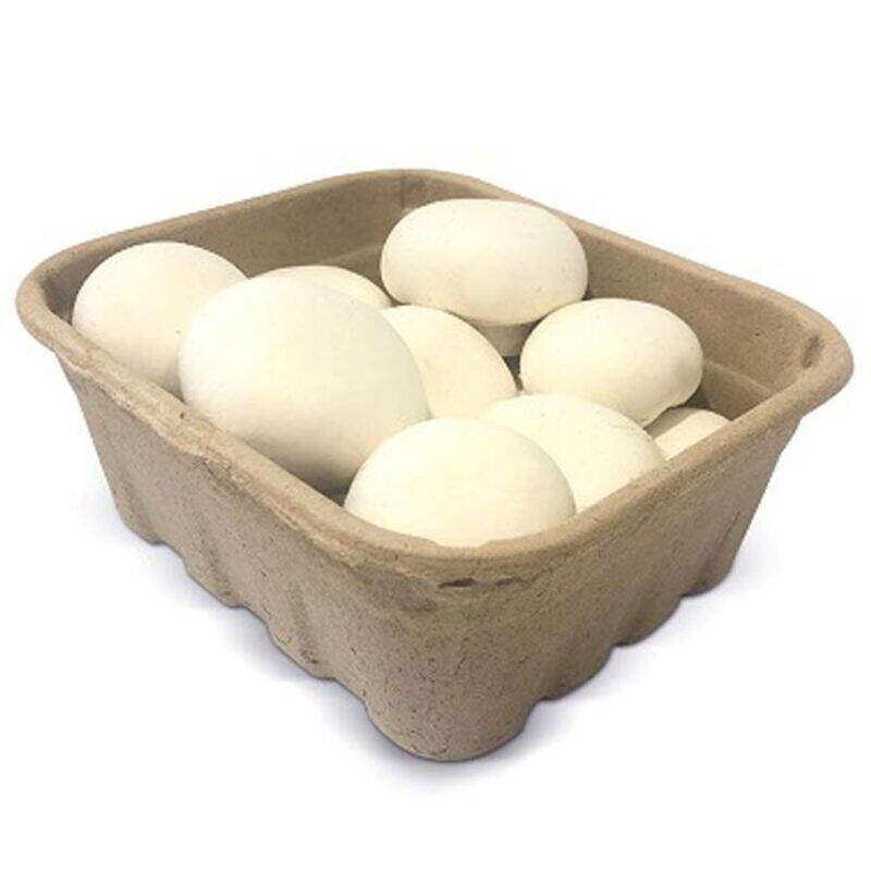

Generic White Mushroom UAE-Pack 250g