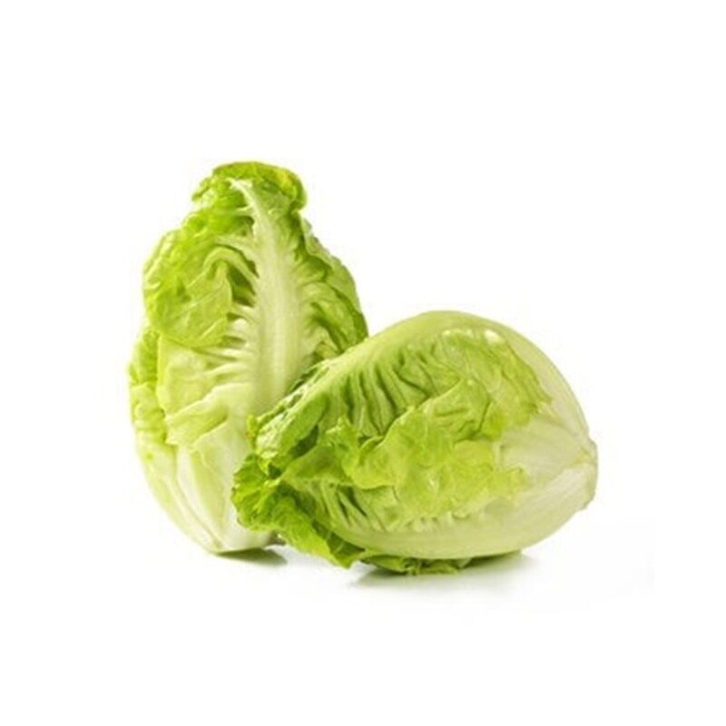 

Generic Lettuce Gem Holland-Pack 500g