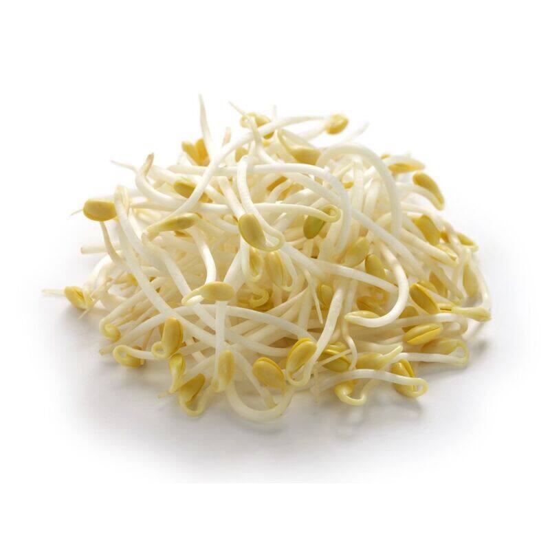 

Generic Bean Sprout UAE-500g