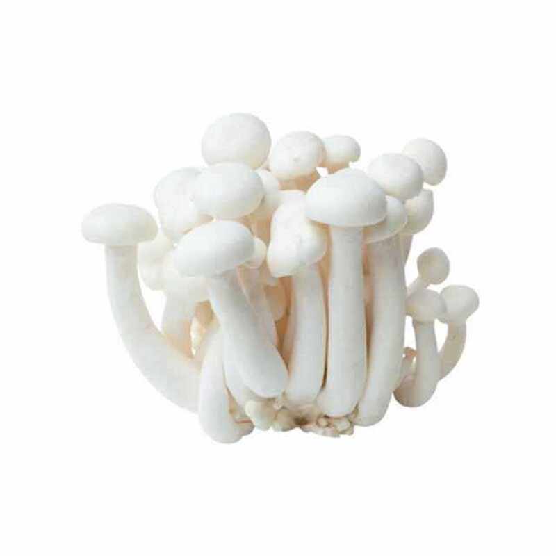 

Generic Shimeji Mushroom White China-Pack 150g