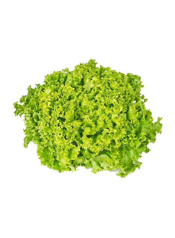 

Generic Lollo Bionda Holland, 250g